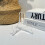Acrylic Shell Storage Box Transparent Mini Specimen Box 6