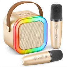 Mini Karaoke Machine Portable Bluetooth Speaker with 2