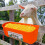 Automatic Hanging Feeder for Chicken Goat Deer Dog Piglet 5
