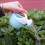Kindergießkanne für Gartenpflanzen, 1,5 l 5