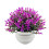 Artificial Potted Plants Plastic Topiary 1 Pack 2