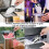Stainless Steel Ice Scoop with Hook for Opal 2.0 4