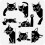 Black Cat Painting Stencil Square Peeping Cat Border 1
