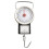 Mechanical Fishing Scale for Fish and Packages 1