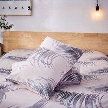 Queen Pillow Cases 20x30 Inch Soft Cotton Zipper Fade