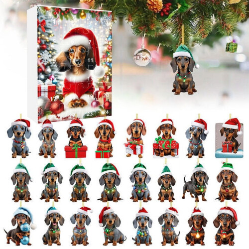 Ημερολόγιο Advent για κατοικίδια - Αντίστροφη μέτρηση 24 ημερών με Dachshund