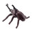 Realistic Fake Bug Toy Figures Educational Insect Toys 12pcs 1