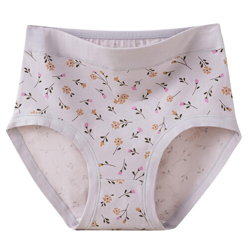Women's High Waist Cotton Floral Briefs Full Coverage