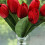 Artificial Silk Tulips Real Touch13inches 8