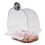 Bird Cage Feeder Transparent Plastic Easy to Install and 1