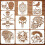 Skull and Skeleton Spraying Stencils Reusable 10 Pcs 1