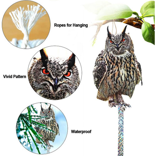 Flat Garden Owl Deterrent Plastic4-Pack 2