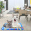 Inflatable Splash Pad for Pets 26x18.5 Inch Non-Slip 3