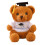 Graduation Bear Doll Toy Commemorative Gift 1