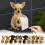 3D Printed Dog Toilet Paper Holder Wall-Mounted 1