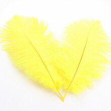 Penas de avestruz coloridas, plumas decorativas de 30 a 35 cm.