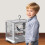 Cage portable pour petits oiseaux avec support et 2