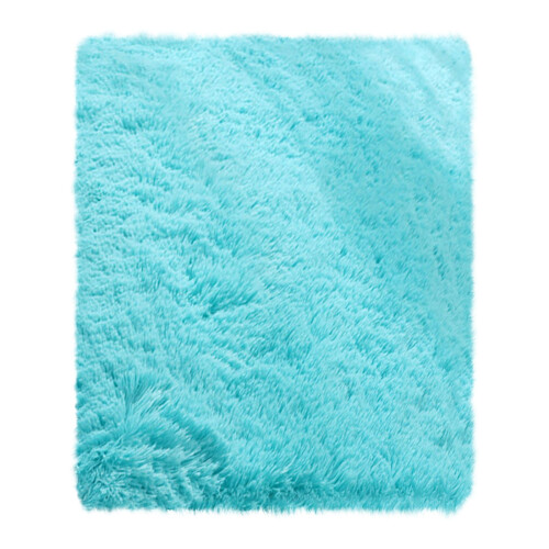 Machine Washable Area Rug 2'x4' Non-Slip Backing