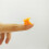 Mini Plastic Hair Clips Chrysanthemum Design 20 pcs 4
