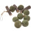 Rabbit Guinea Pig Chew Toys Natural Teeth Tablets 1
