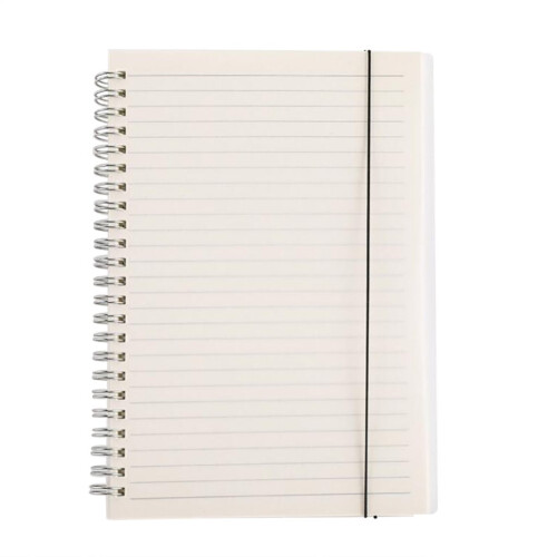 Lattice Journal Notebook Frosted Transparent Coil Bound