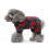 Hundepyjama, weicher Samt-Overall, dunkelgrau 3