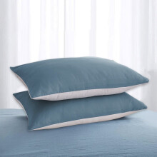 Pillow Covers Set of 2 Soft Envelope Closure Wrinkle