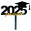 Cake Inserts Class of 2025 Graduation Cupcake Toppers 1