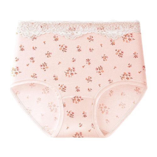 Women's High Waist Cotton Floral Briefs Full Coverage