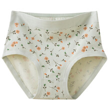 Women's High Waist Cotton Floral Print Briefs Full Coverage