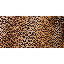 Animal Pattern Microfiber Beach Towel Square