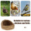 Straw Chicken Nest for Egg Laying, Backyard Poultry 5