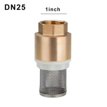 Brass Foot Valve DN25 with Stainless Steel Basket and Check
