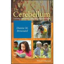 The Cerebellum