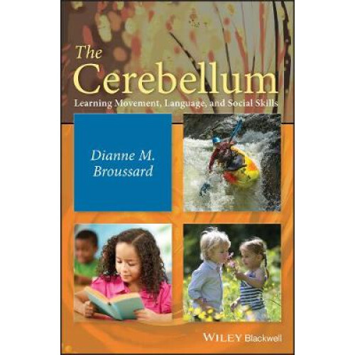 The Cerebellum