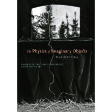 The Physics of Imaginary Objects