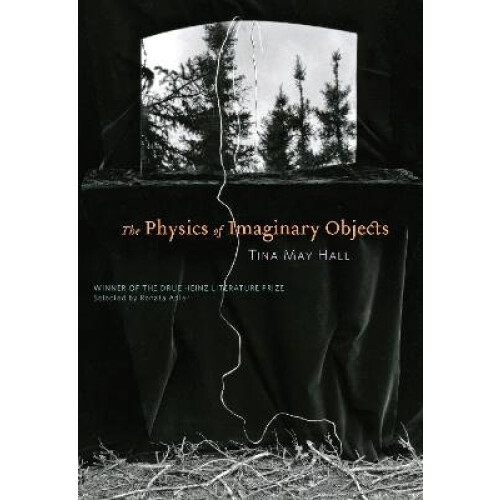 The Physics of Imaginary Objects