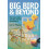 Big Bird and Beyond 1