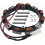 Alternator Replacement for Models 592831 696459 393800 1