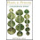 Plants as Persons 1