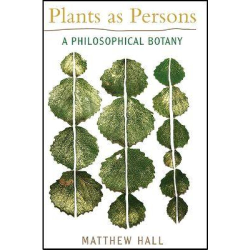 Plants as Persons