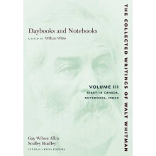 Daybooks and Notebooks: Volume III