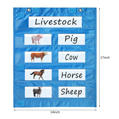 Magnetic Whiteboard Classroom Schedule Board 2