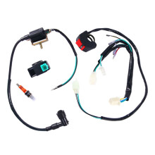 Wiring Loom and Harness for 110cc–140cc Pit Bike ATV Quad