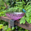 Outdoor bird bath and feeder combo weatherproof 1