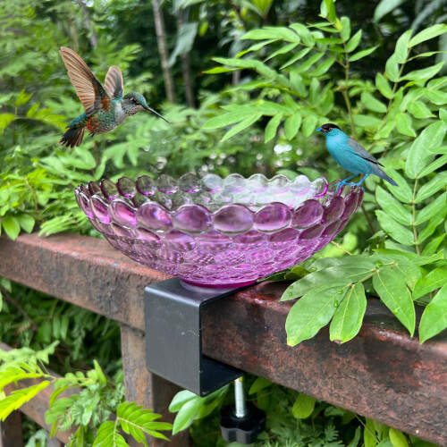 Outdoor bird bath and feeder combo weatherproof