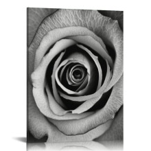 Wandbild mit schwarzen und weißen Rosen, horizontale Leinwand, 16 x 20 Zoll