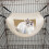 Leaba Hamaice Cage Cat Plush Bog Dúbailte Sraith do Pheataí Beaga 1