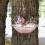 Bird Bath Tray Tree-Mounted 9.2 in x 2.7 in 1