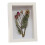 Shadow Box Frame 6x4 inch Solid Wood with Glass Front 1